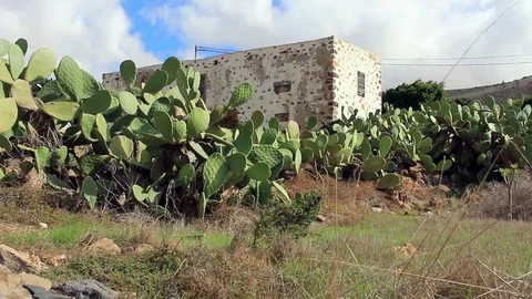 Old Spanish house surrounded by cactus plants Stock Footage 84790146