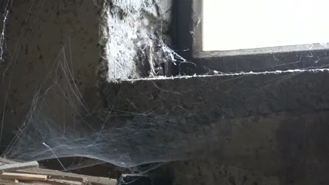 Old spider web by the window illuminated by sunlight Stock Footage 158929587