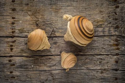 Old spinning tops Stock Photos