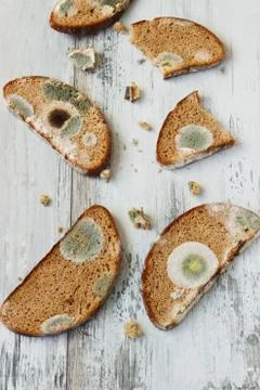 Old spoiled moldy bread Stock Photos