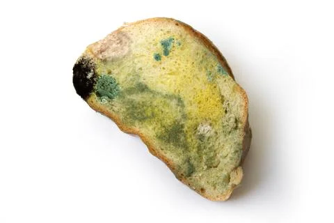 Old spoiled rotten bread on a white backgroun Stock Photos