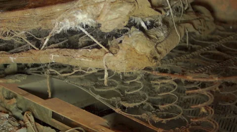 Old spring beds 库存影片 45588288