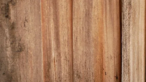 The old spruce boards background Stock Footage 165857787