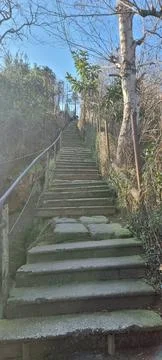 The old staircase 스톡 사진