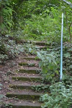 Old stairs in the park Stock Photos