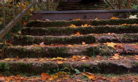 Old stairs Foto stock