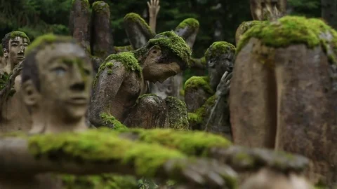 Old Statues in the Wood Stock Footage 79850361