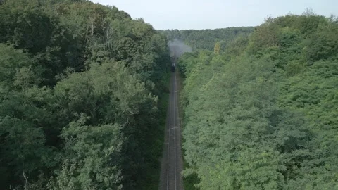 An old steam locomotive runs through green forest Lecco Italy. Stock Footage 277123853