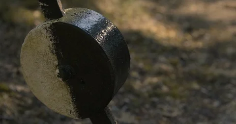 Old steering in the forest. 動画素材 114629484