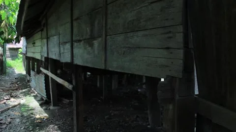 Old stilt house Stock Footage 195850663