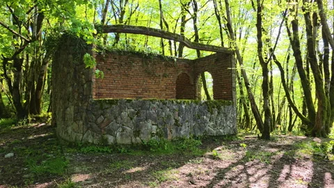 Old stone and brick structure standing amidst vibrant green trees in a sunlit 스톡 동영상 336169413