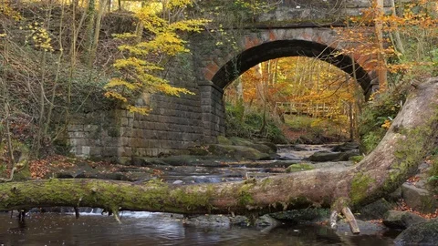 Old stone arch bridge over stream in autumn Vídeo Stock 82248025