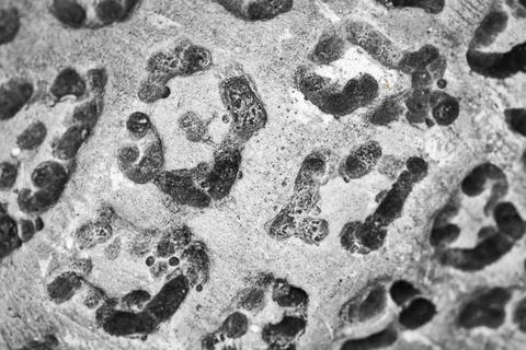 Old stone background and texture close-up Stock Photos