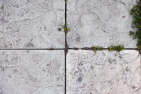 Old stone background with some grass on it Stock Photos