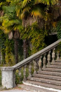 Old stone balustrade of railing background of green palm trees. Classic design Stock Photos