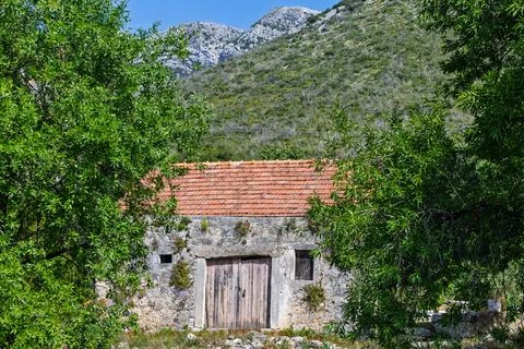 Old Stone Barn With Red Tile Roof Framed by Trees Below Rocky Green Mountai.. Stock Photos