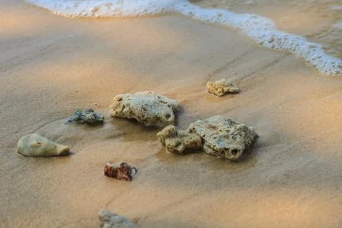 Old stone on the beach Stock Photos