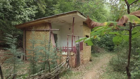 Old stone brick house in the deep forest. Abandoned scary house in the woods Vídeos de archivo 227172177