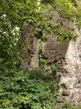 Old stone brick wall in the forest Stock Photos