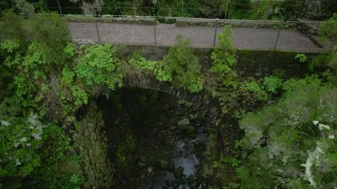 An old stone bridge covered with grass and moss in the jungle. Shooting drone 4K Vídeos de archivo 171357398