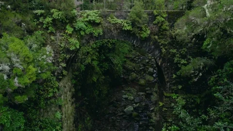 An old stone bridge covered with grass and moss in the jungle. Shooting drone 4K Vídeos de archivo 171357633