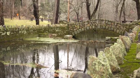 Old stone bridge covered in moss Stock Footage 71898623