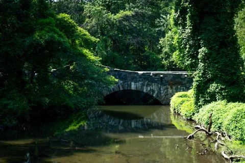 An old stone bridge in deep forest landscape. Reflection of the bridge Stock Photos