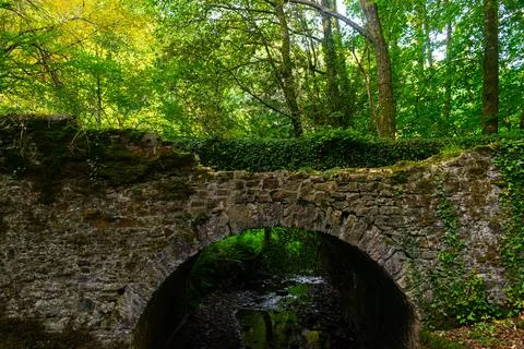Old stone bridge in the forest Stock Photos
