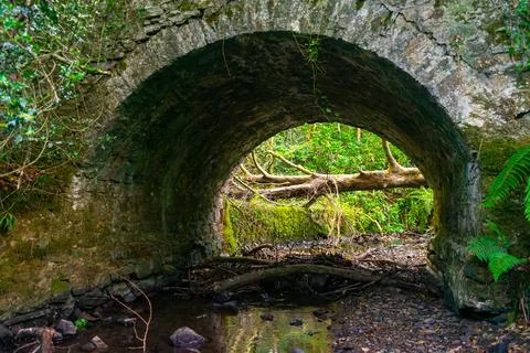 Old stone bridge in the forest Stock Photos
