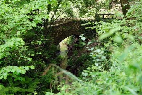 Old stone bridge in a forest setting Stock Photos