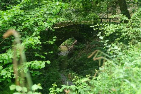 Old stone bridge in the forest with small river. Stock Photos