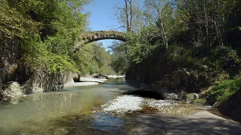 Old stone bridge over the river surrounded by nature with trees and clear water Stock Footage 310738048
