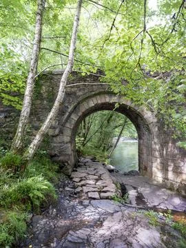 Old stone bridge over river dart in dartmoor Stock Photos