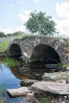Old stone bridge over a stream during the summer in Malpartida de Plasencia. Stock Photos