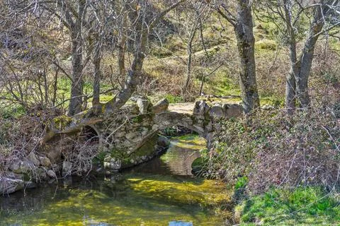 Old stone bridge over stream in El Boalo Stock Photos