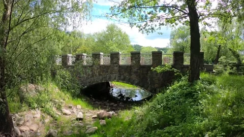 Old stone bridge in the park Stock Footage 149318179