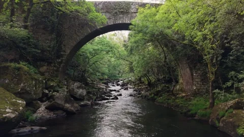 Old Stone Bridge Ponte de Segade Crossing Umia River Stock-Footage 335000484