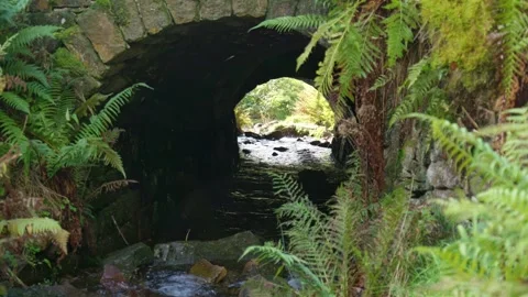 Old stone bridge standing over a slow moving moorland stream. Fern covered .. Vidéo 261053240