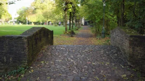 Old stone bridge with stones and leaves in Park in Bruges Belgium Video stock 329052947