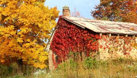 Old stone building in the fall Stock Footage 8840143