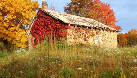 Old stone building in the fall Stock Footage 8840161