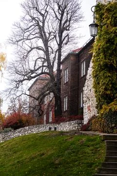 Old stone building with a large tree and steps in the autumn. Stock Photos