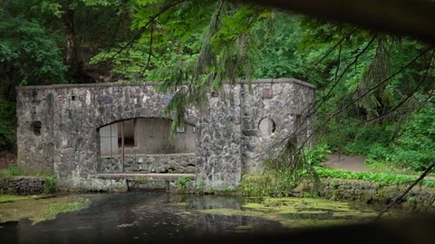 Old Stone Building On Pond Stock Footage 171255555