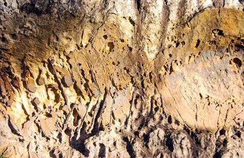 Old stone in cave Stock Photos