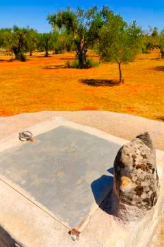 Old stone cistern with ancient olive trees, Salento, Apulia region, south Italy Foto stock
