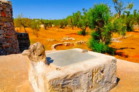 Old stone cistern with ancient olive trees, Salento, Apulia region, south Italy Foto stock