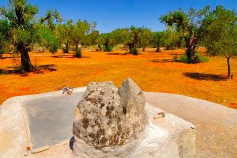 Old stone cistern with ancient olive trees, Salento, Apulia region, south Italy Stock Photos