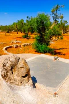 Old stone cistern with ancient olive trees, Salento, Apulia region, south Italy Stock Photos