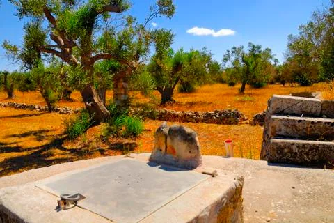 Old stone cistern with ancient olive trees, Salento, Apulia region, south Italy Stock Photos