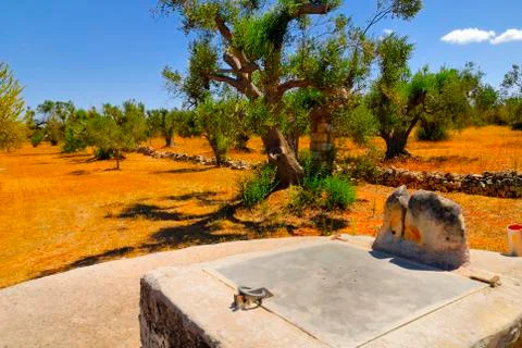 Old stone cistern with ancient olive trees, Salento, Apulia region, south Italy Stock Photos